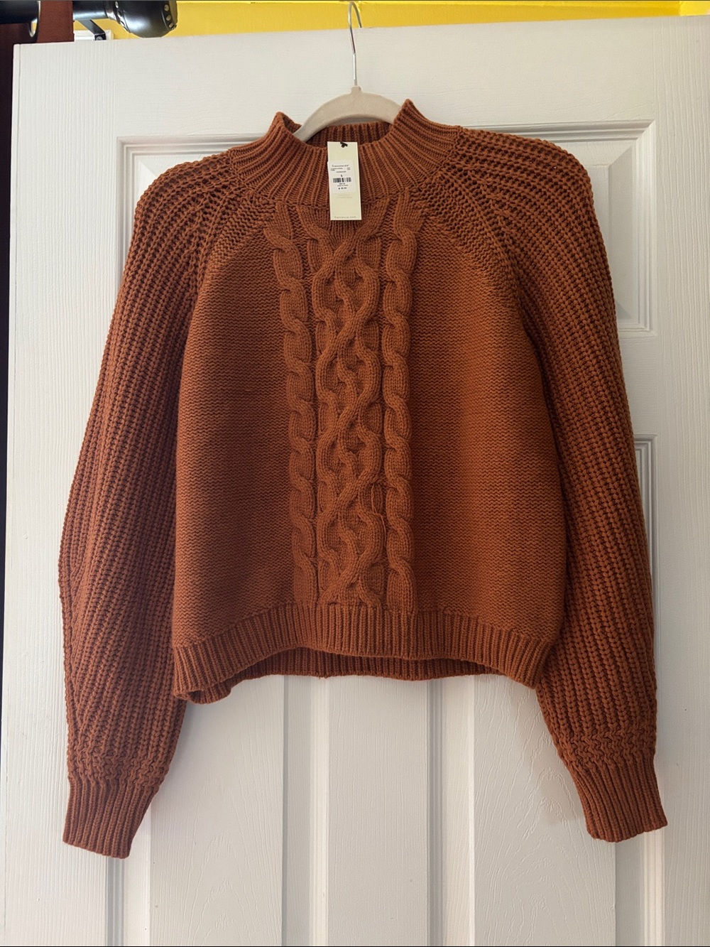 Francesca's Collections Cropped Cable Turtleneck Sweater in Brown